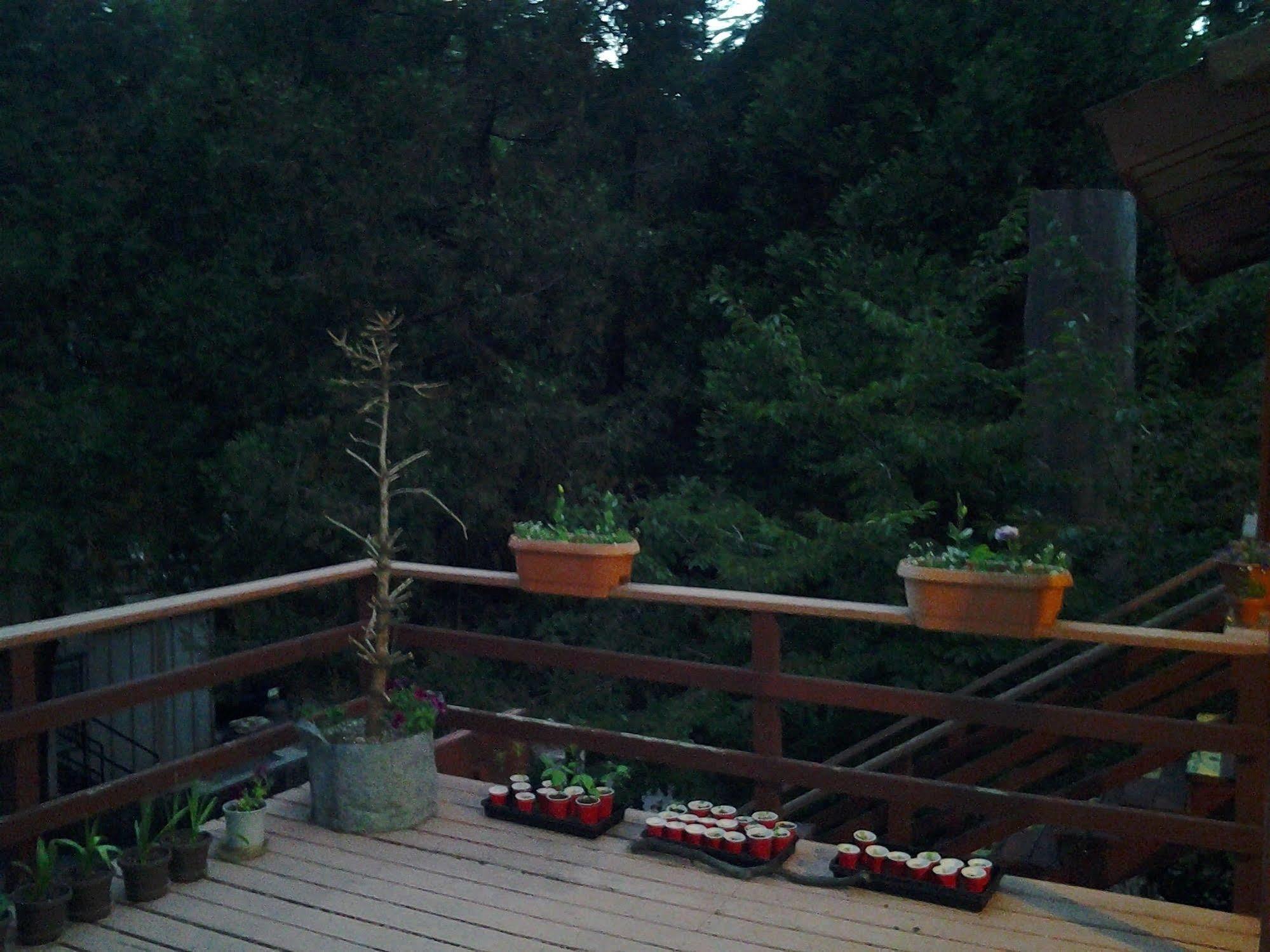 Arrowhead Mountain Inn Lake Arrowhead Exterior photo